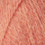 Rhubarb